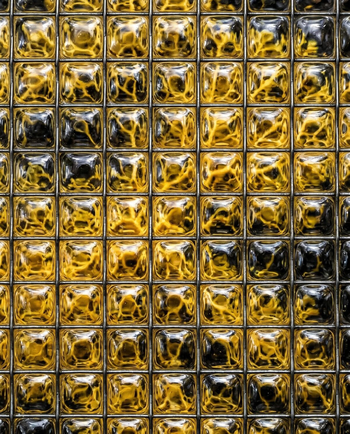outreach — bio-mimicry behind wired glass