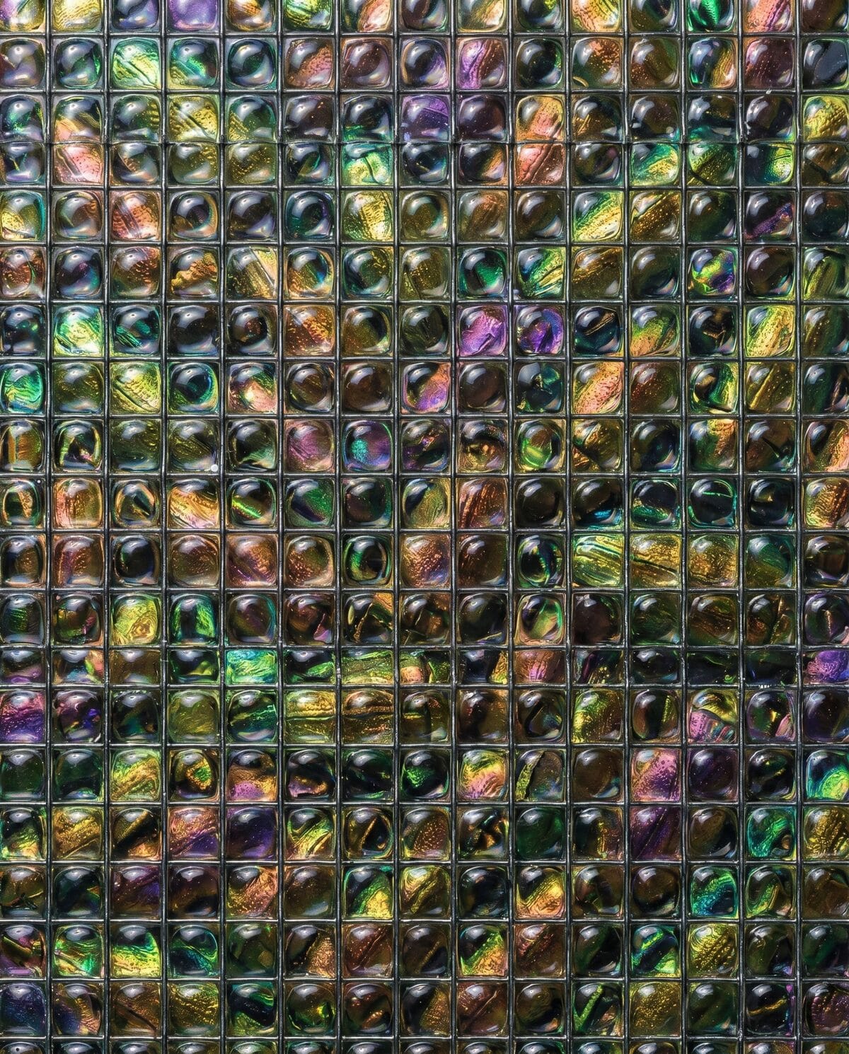 operations — bio-mimicry behind wired glass