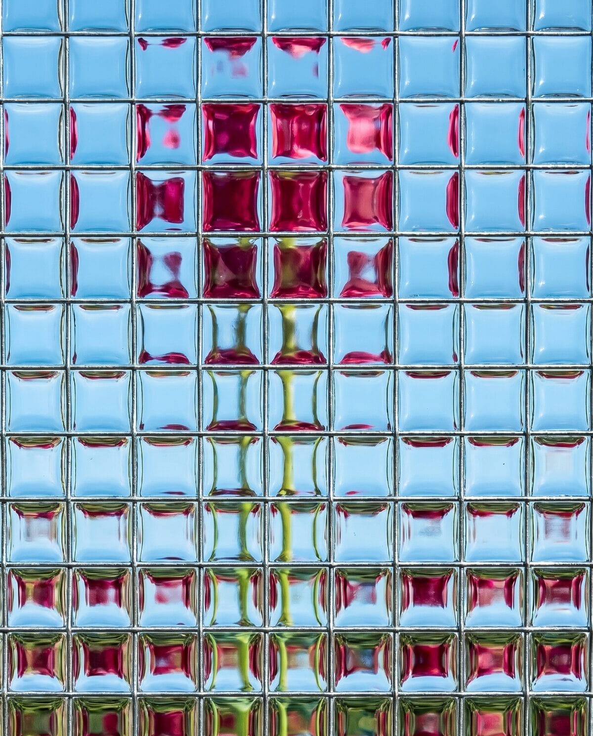 product — bio-mimicry behind wired glass